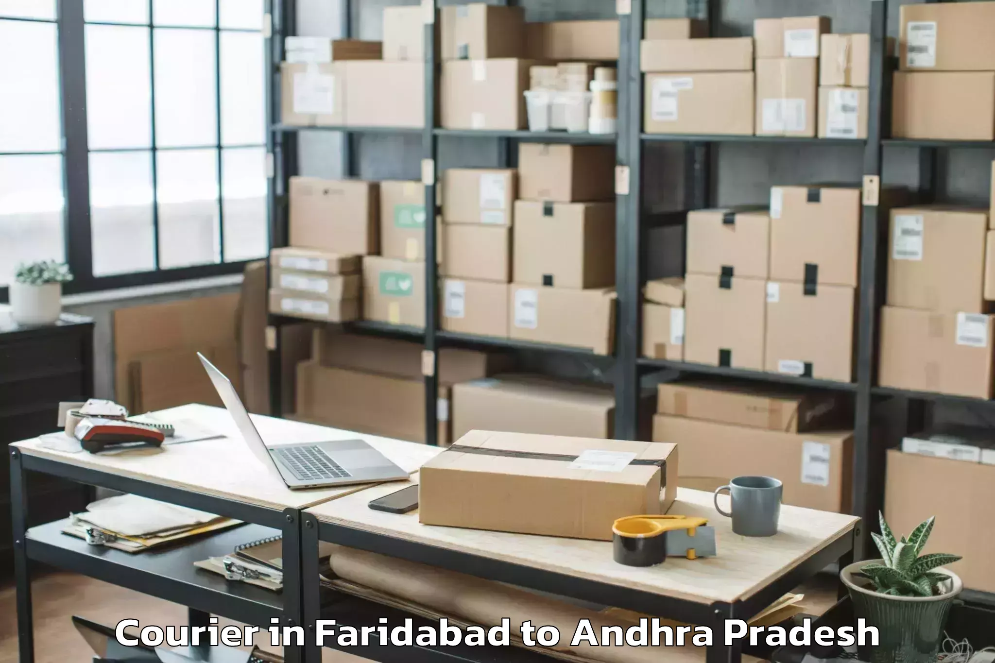 Expert Faridabad to Tuni Courier